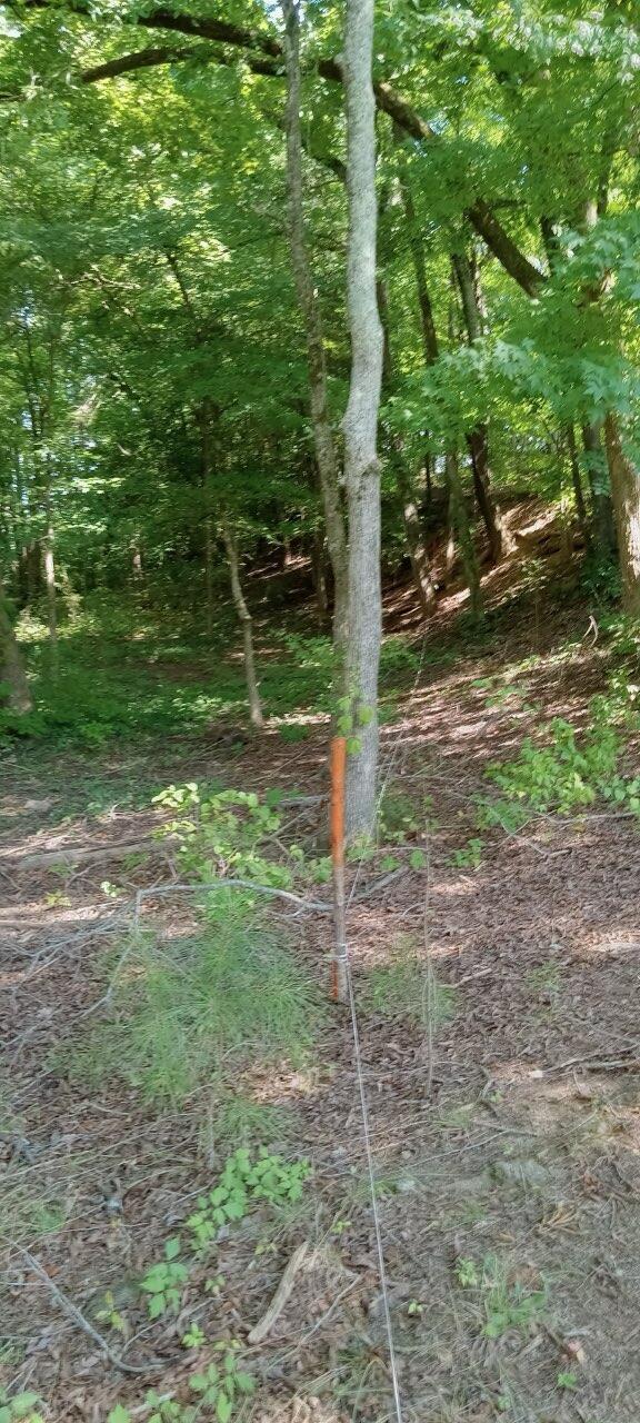 LOT74 Early Morning Ln, Dandridge, TN 37725