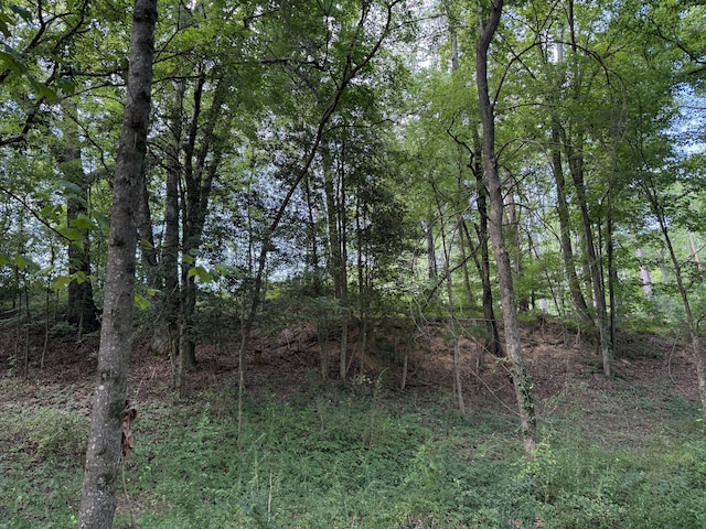 LOT74 Early Morning Ln, Dandridge, TN 37725