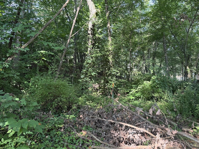 LOT74 Early Morning Ln, Dandridge, TN 37725