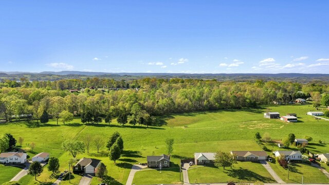 aerial view with a view of trees