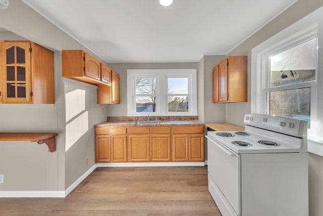 kitchen featuring visible vents, white electric range, a sink, glass insert cabinets, and light wood-style flooring