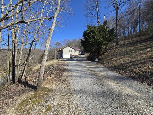 view of street with driveway