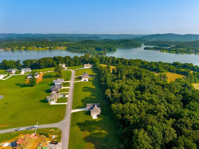 4153 Harbor View Dr, Morristown, TN 37814 - photo 39