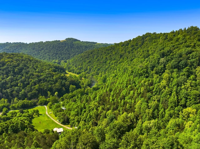 0 Cosby Ridge Rd, Harrogate, TN 37752 - photo 11