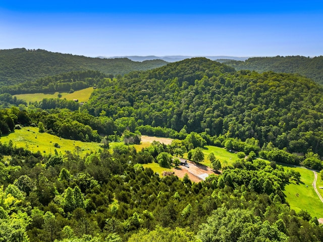 0 Cosby Ridge Rd, Harrogate, TN 37752 - photo 10