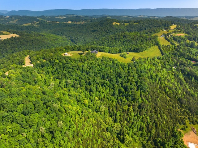 0 Cosby Ridge Rd, Harrogate, TN 37752 - photo 8