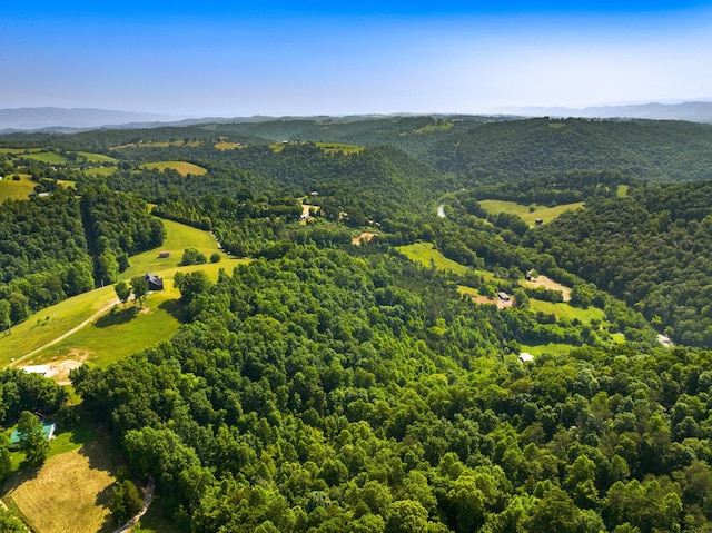 0 Cosby Ridge Rd, Harrogate, TN 37752 - photo 6