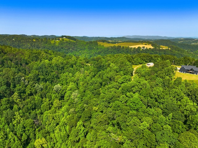 0 Cosby Ridge Rd, Harrogate, TN 37752 - photo 9