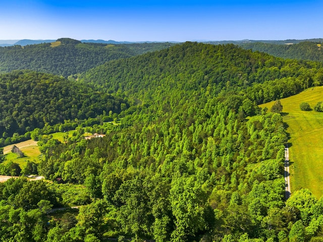 0 Cosby Ridge Rd, Harrogate, TN 37752 - photo 5