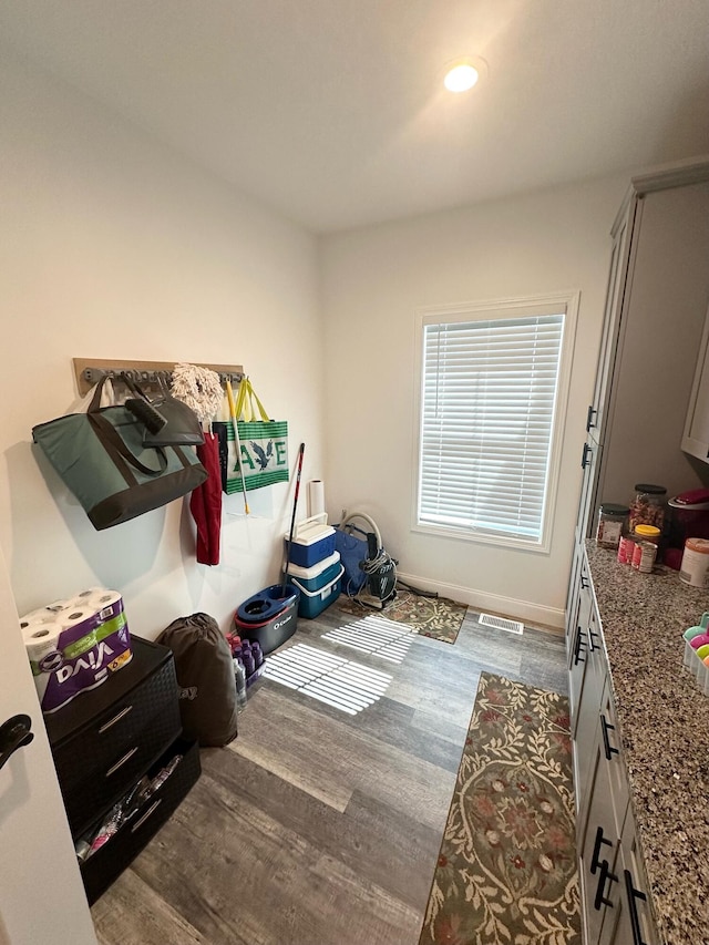 interior space with wood-type flooring