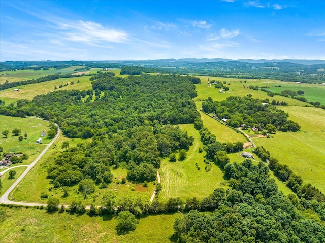 1032 Lost Creek Rd, New Market, TN 37820 - photo 42