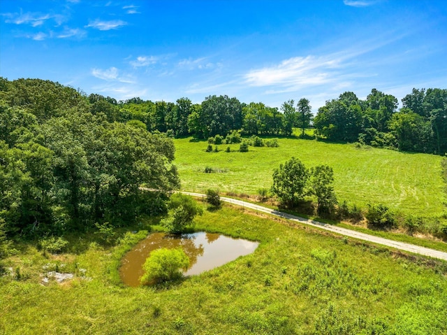 1032 Lost Creek Rd, New Market, TN 37820 - photo 51