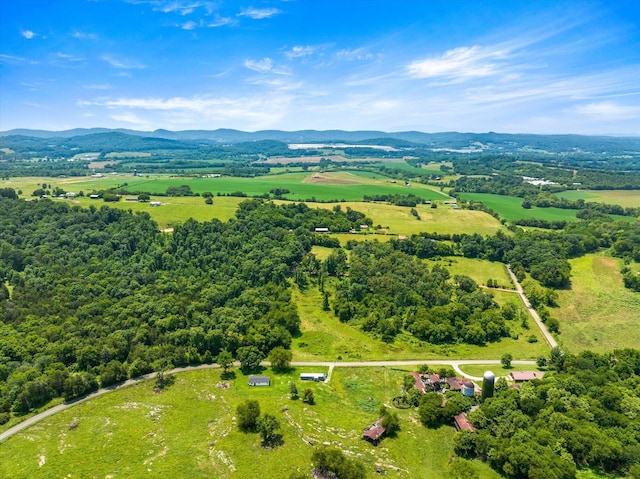 1032 Lost Creek Rd, New Market, TN 37820 - photo 44