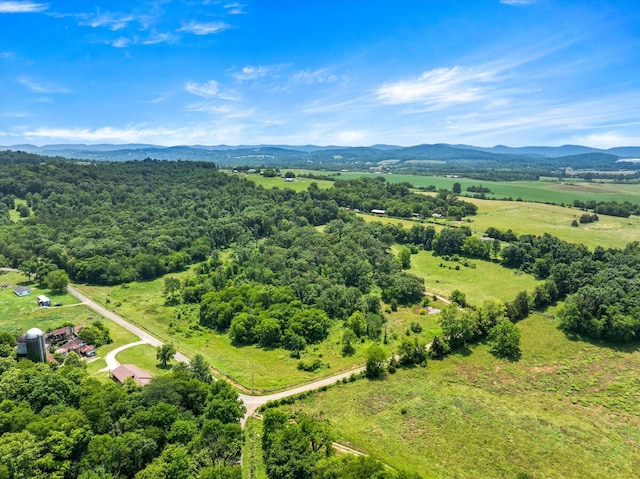 1032 Lost Creek Rd, New Market, TN 37820 - photo 50