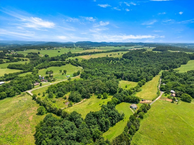 1032 Lost Creek Rd, New Market, TN 37820 - photo 46