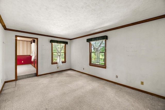 1032 Lost Creek Rd, New Market, TN 37820 - photo 8