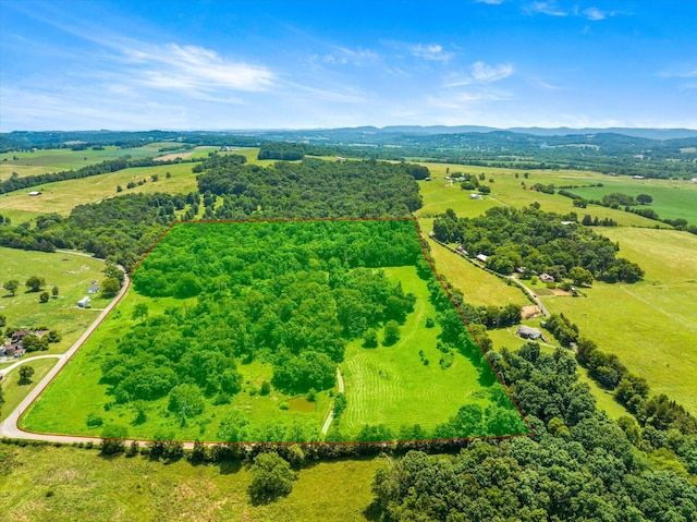 1032 Lost Creek Rd, New Market, TN 37820 - photo 41
