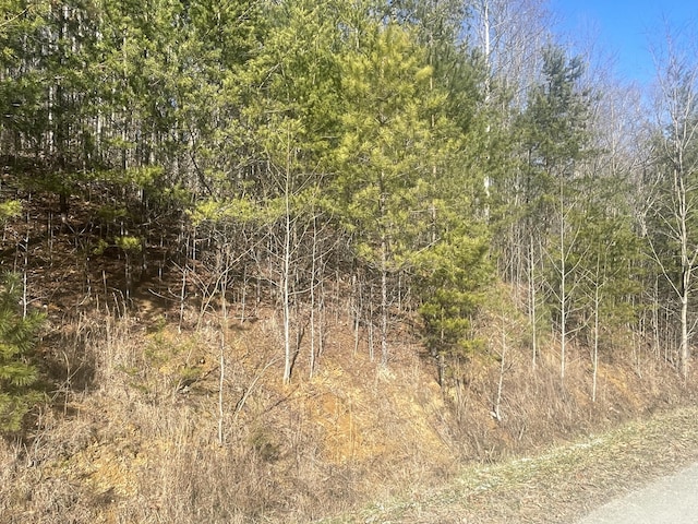 Listing photo 2 for LOT8 Bluets Rd, Newport TN 37821