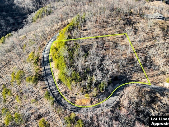 1163 Keetoowah Dr, Mooresburg TN, 37811 land for sale