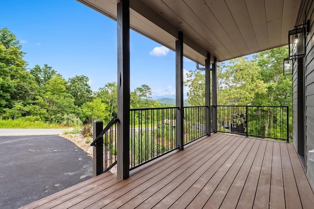 1429 Mountain Ash Way, Sevierville, TN 37876 - photo 61