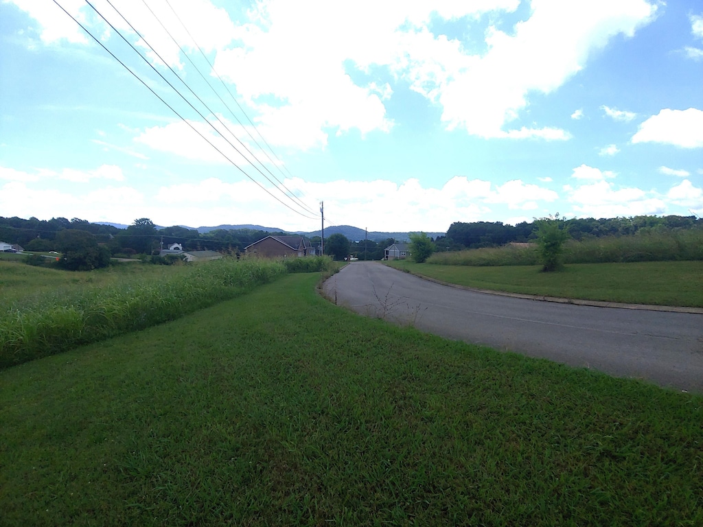 LOT11 Pocahontas Ln, Rutledge, TN 37861 - photo 2