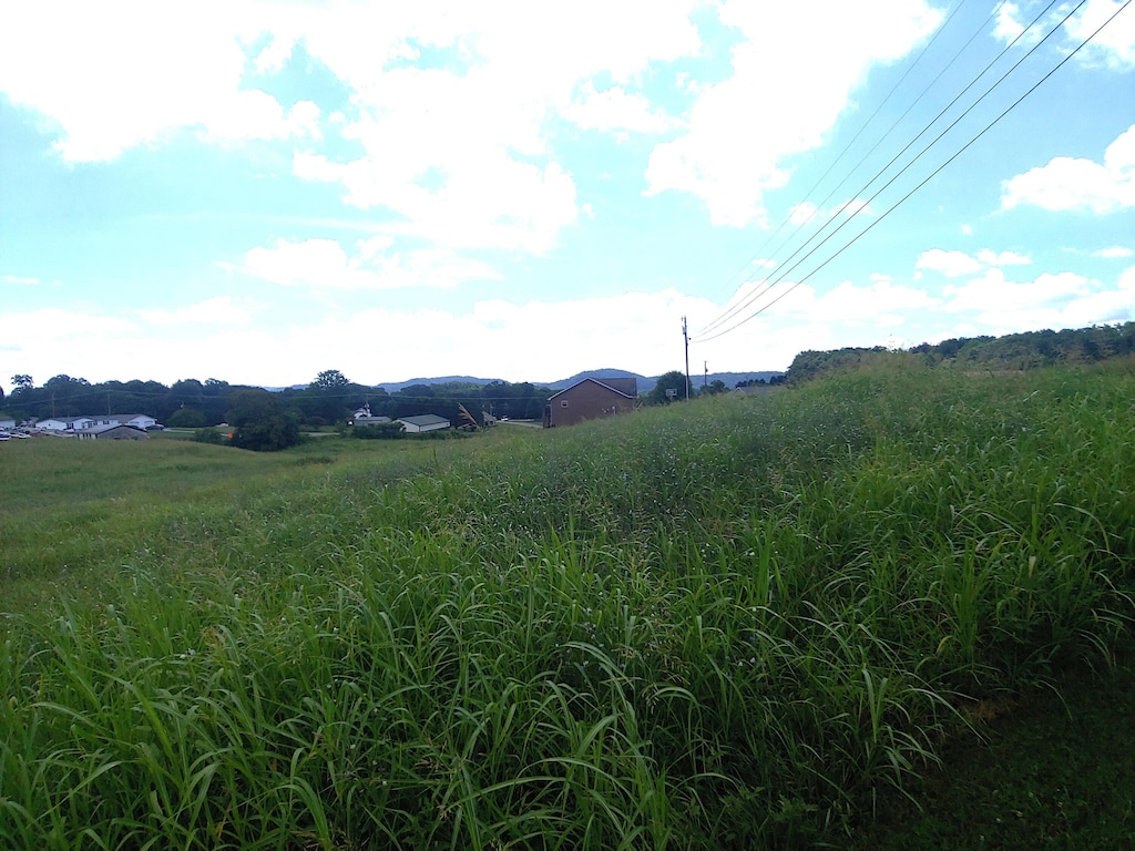 LOT11 Pocahontas Ln, Rutledge, TN 37861 - photo 3