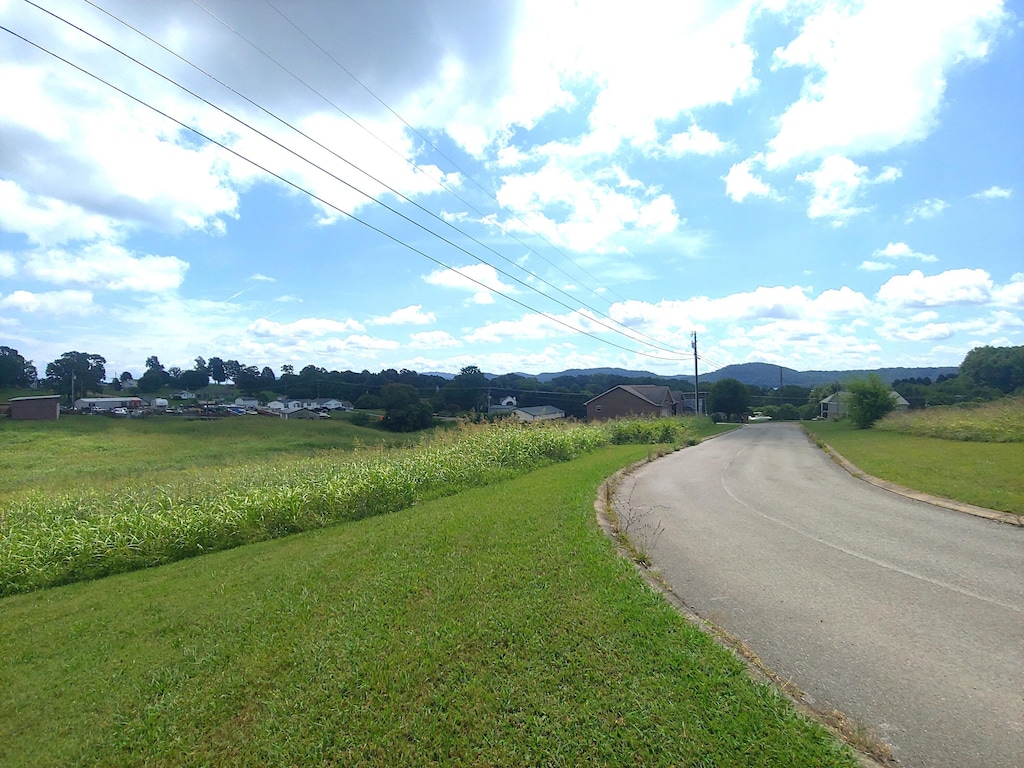 LOT11 Pocahontas Ln, Rutledge, TN 37861 - photo 4