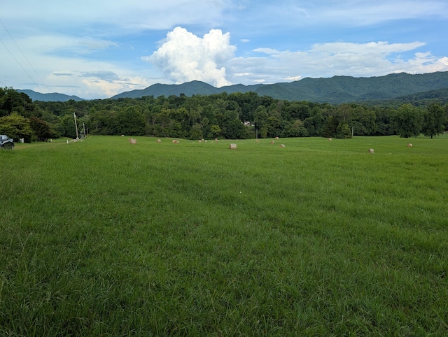 0 Edwina-Bridgeport Rd, Newport, TN 37821 - photo 3