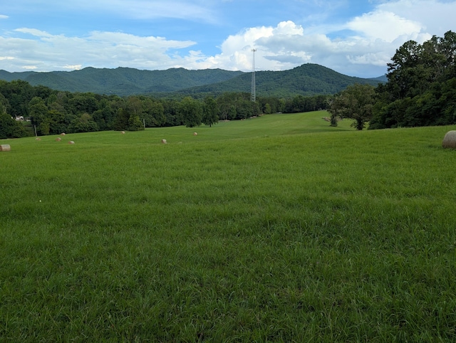 0 Edwina-Bridgeport Rd, Newport, TN 37821 - photo 4