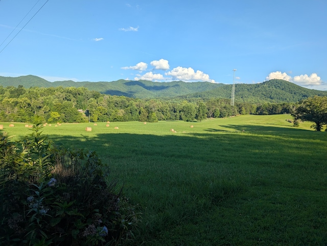 0 Edwina-Bridgeport Rd, Newport, TN 37821 - photo 1