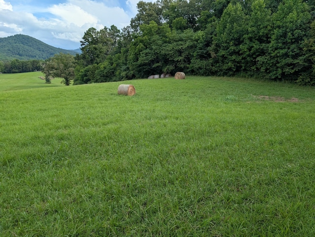 0 Edwina-Bridgeport Rd, Newport, TN 37821 - photo 5