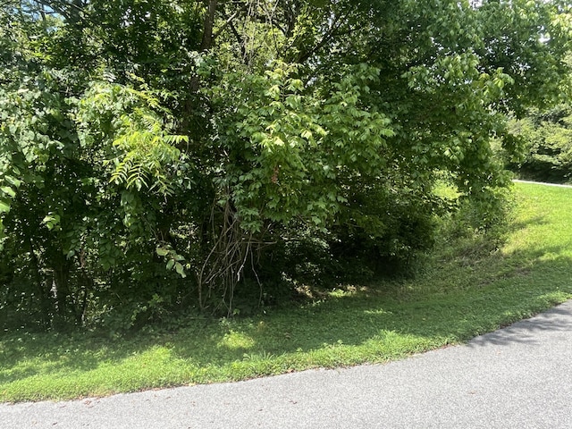 LOT8 Indian Gap Cir, Sevierville, TN 37876 - photo 2