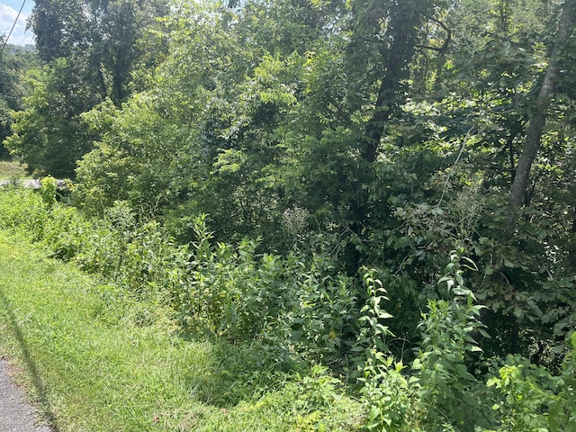 LOT8 Indian Gap Cir, Sevierville, TN 37876 - photo 4