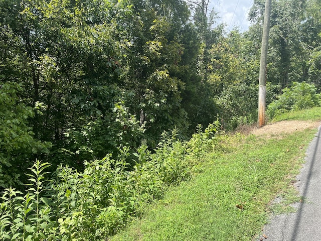 LOT8 Indian Gap Cir, Sevierville, TN 37876 - photo 3