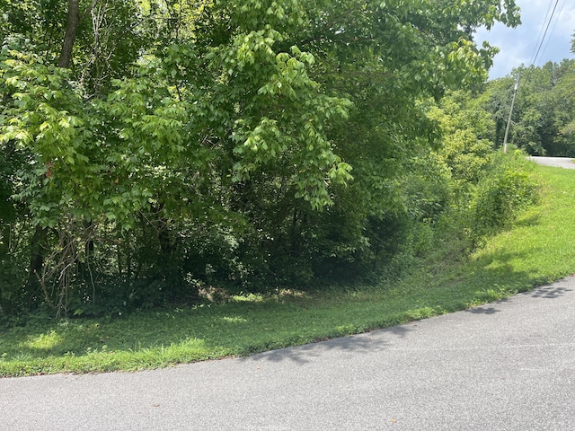 LOT8 Indian Gap Cir, Sevierville, TN 37876 - photo 1