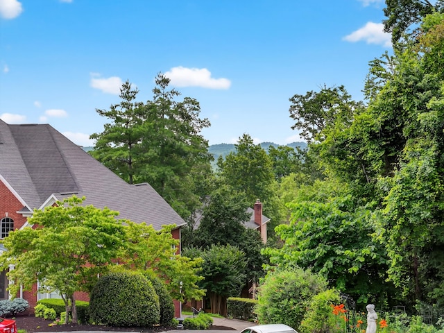 1086 St Ives Ct, Morristown, TN 37814 - photo 5