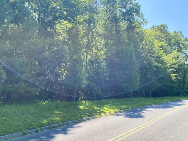 LOT20 Plantation Point Dr, Dandridge, TN 37725 - photo 3