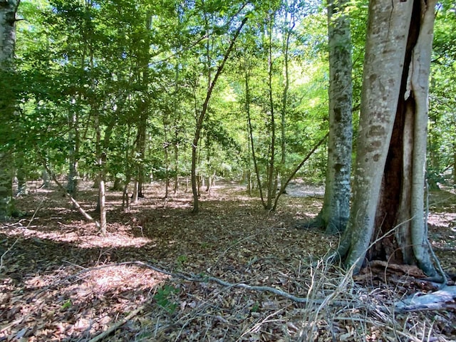 LOT20 Plantation Point Dr, Dandridge, TN 37725 - photo 5