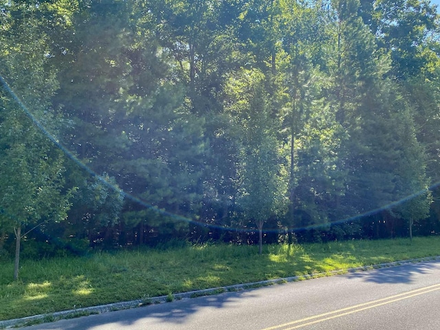 LOT20 Plantation Point Dr, Dandridge, TN 37725 - photo 2