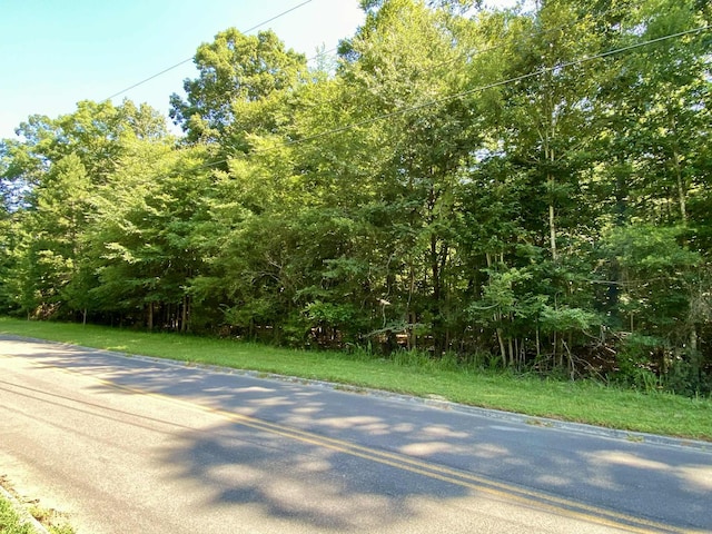 LOT20 Plantation Point Dr, Dandridge, TN 37725 - photo 1