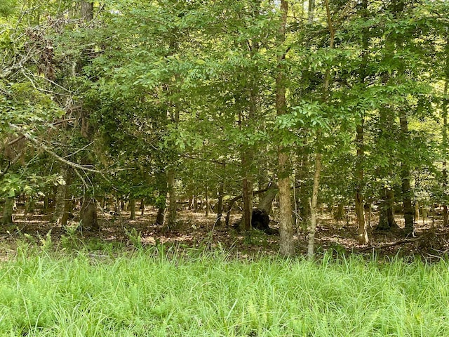 LOT20 Plantation Point Dr, Dandridge, TN 37725 - photo 4
