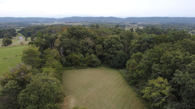 bird's eye view with a mountain view