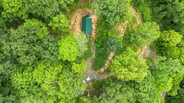 299 Lauderback Gap Trl, Rogersville TN, 37857 land for sale