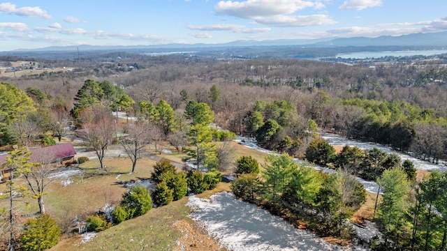 bird's eye view with a mountain view