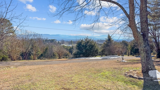 view of yard with a mountain view