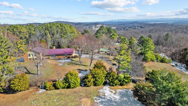 bird's eye view featuring a mountain view