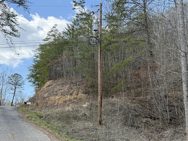 Listing photo 2 for 00 Covered Bridge Cv, Newport TN 37821