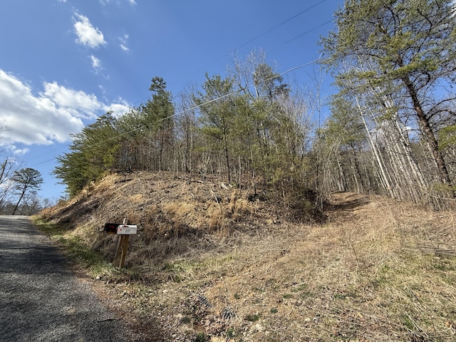 Listing photo 3 for 00 Covered Bridge Cv, Newport TN 37821