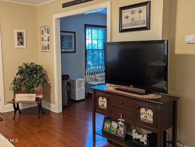 living room with crown molding and dark wood-type flooring