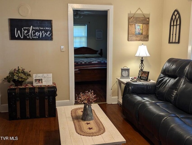 living room featuring dark hardwood / wood-style floors